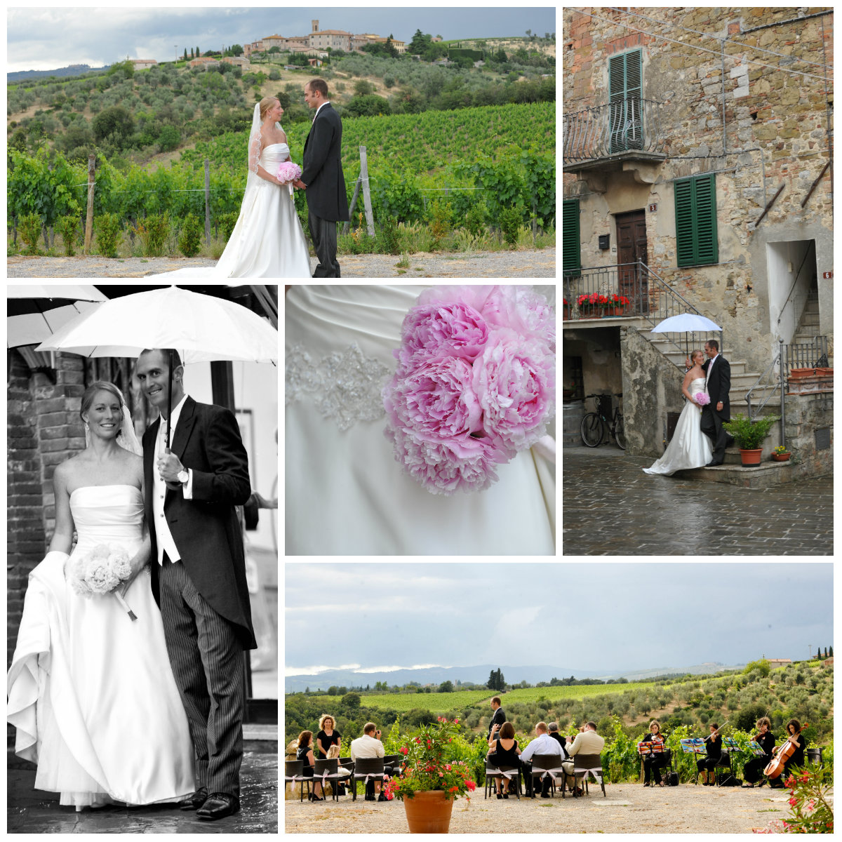 True love in the olive grove