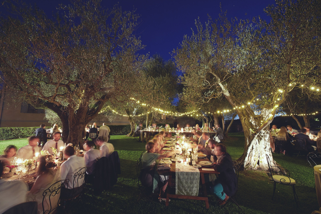fairy lights in olive grove 