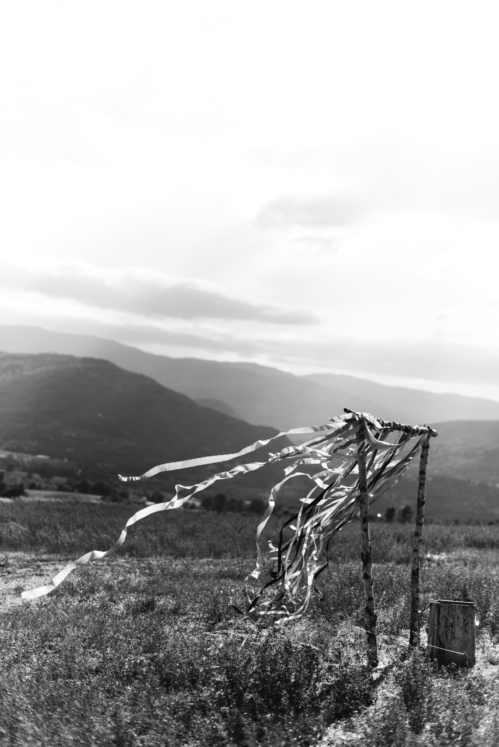 Ribbons in the wind