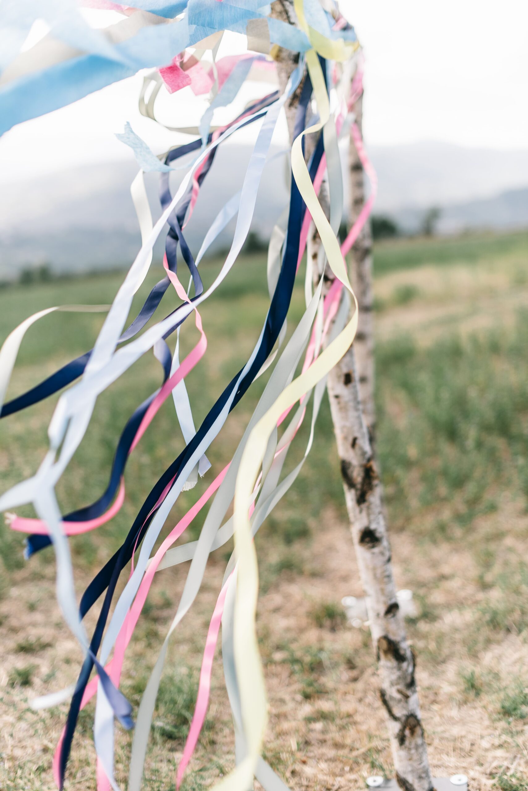 Weding arch